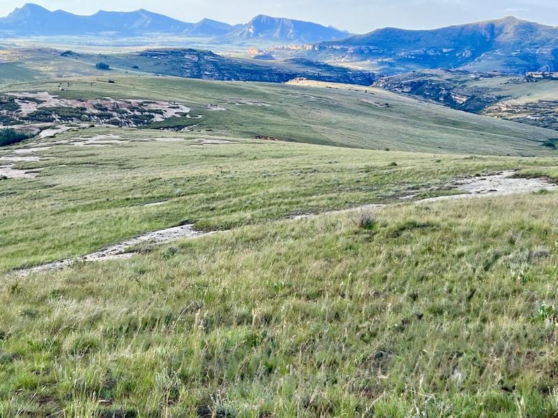 0 Bedroom Property for Sale in Fouriesburg Free State